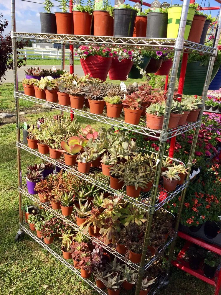 Professional residential landscaping experts serving Hollister, CA - The GardenMart