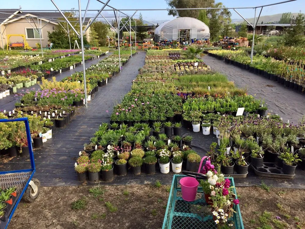 Expert landscape design for residential properties across Hollister, CA - The GardenMart