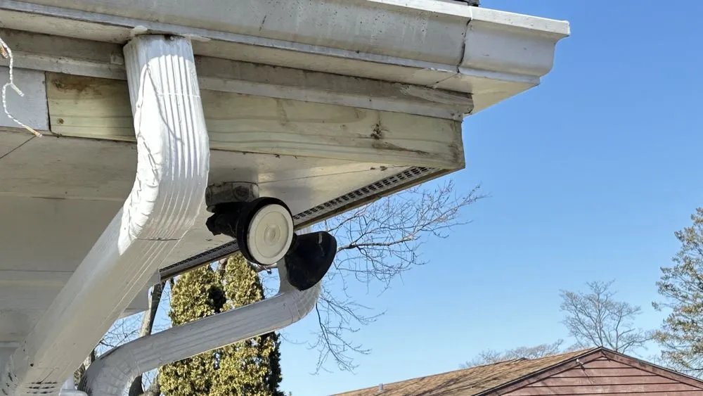 Professional yard cleanup service for homes across champ Hill, PA - The Gardens