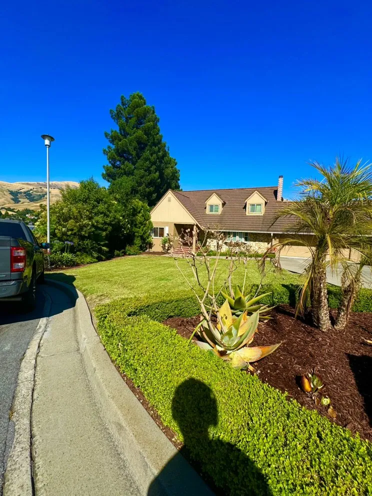 Custom garden landscaping near you across East Palo Alto, CA - The Gardens