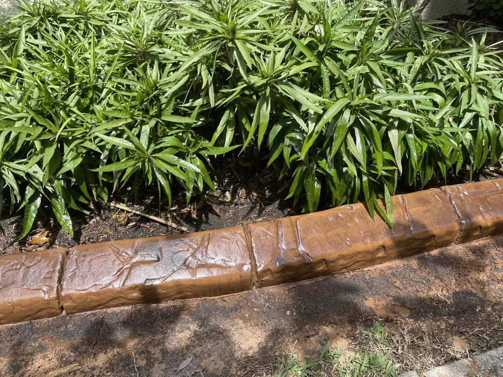 Trusted lawn care service near you across Dade City, FL - The Gardens Edge