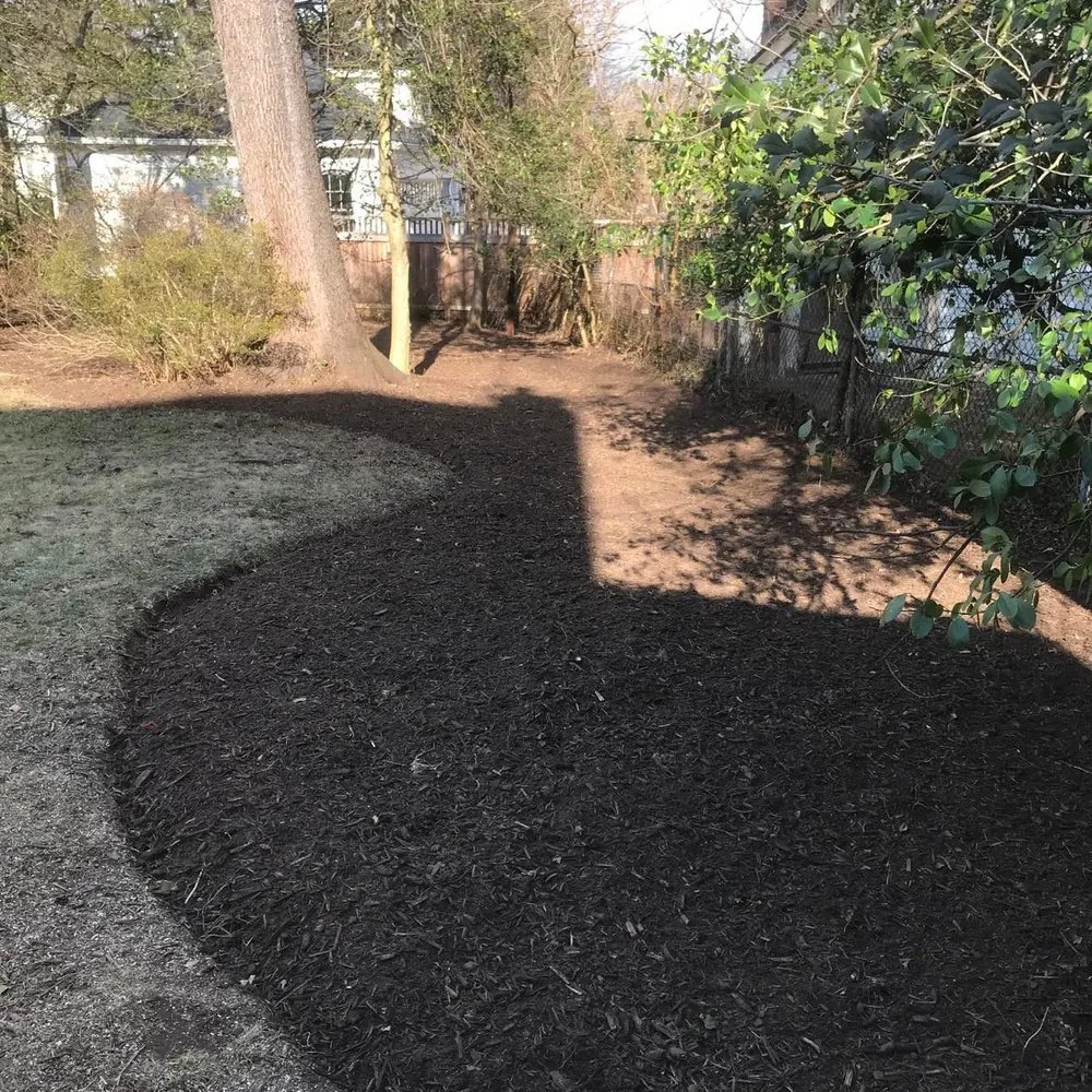 Local residential landscaping for year-round maintenance in Fredericksburg, VA by The Gardens Landscaping