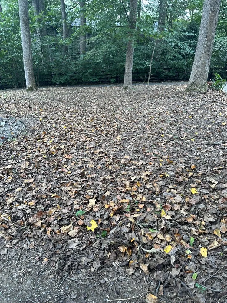 Local landscaping services with custom design across Fredericksburg, VA - The Gardens Landscaping