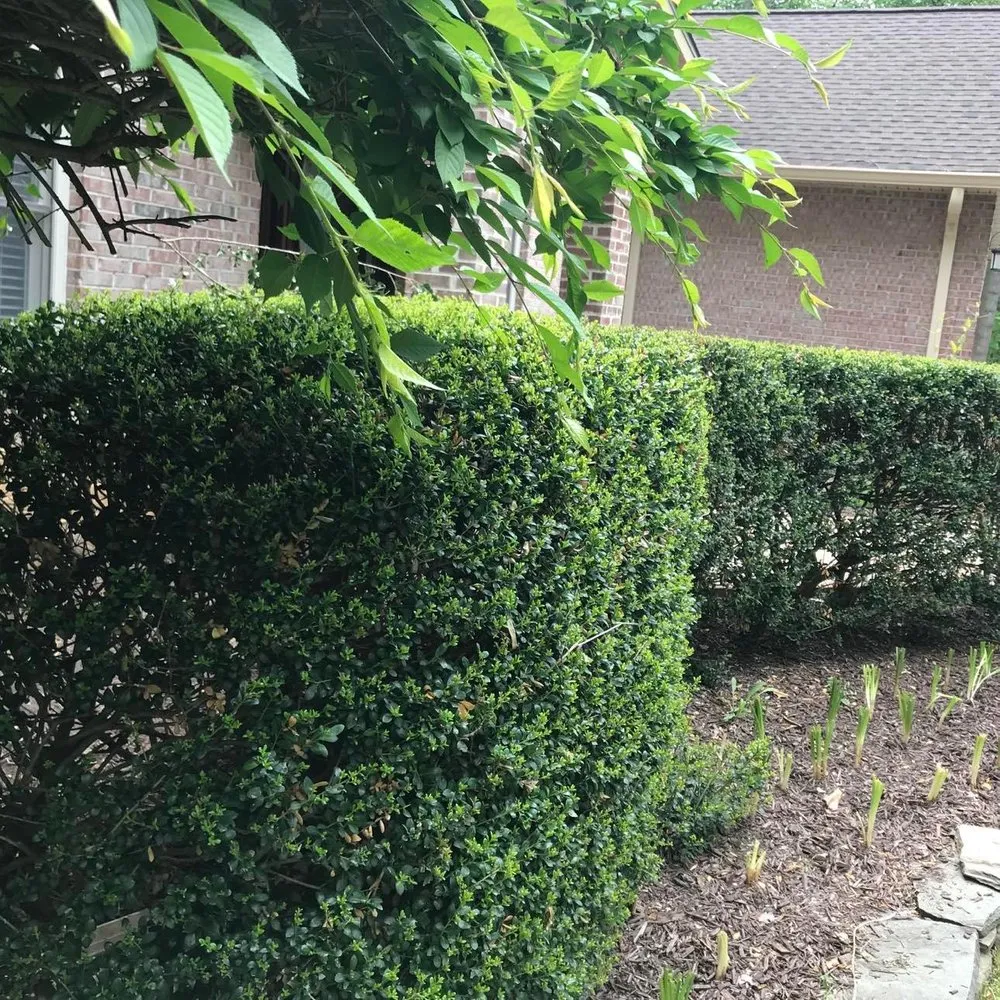 Reliable landscaping services for beautiful yards across Fredericksburg, VA - The Gardens Landscaping