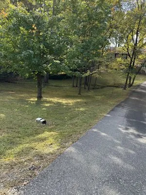 The Gardens Landscaping Logo