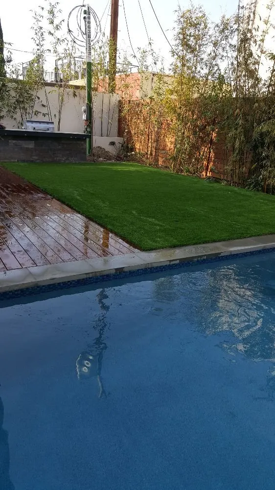 Top-rated yard cleanup service for outdoor upgrades across Van Nuys, CA - The Gardens Landscaping