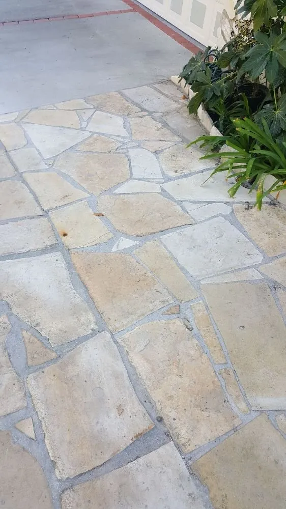 Trusted landscaping services near you in Van Nuys, CA by The Gardens Landscaping