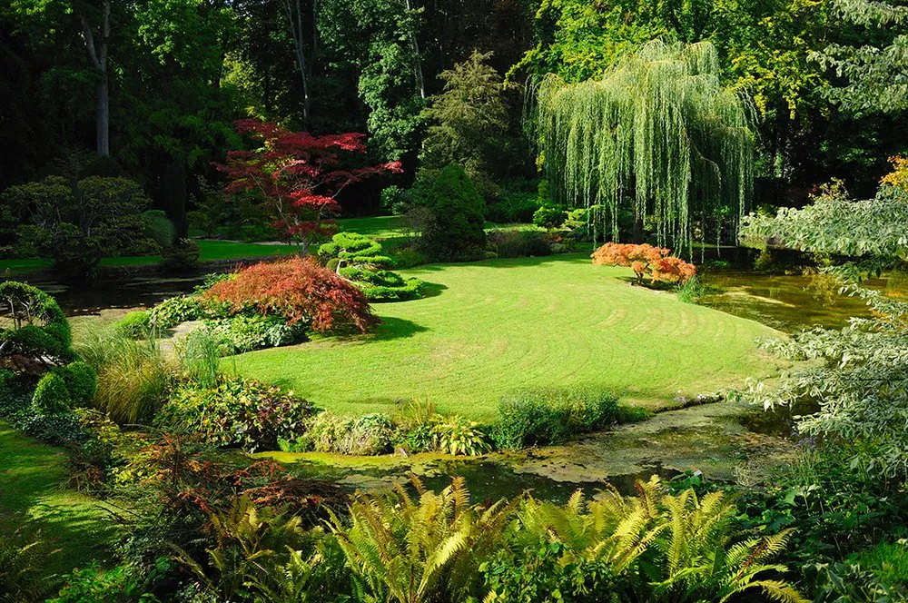 Expert lawn care service in Lacey, WA - The Gardner's