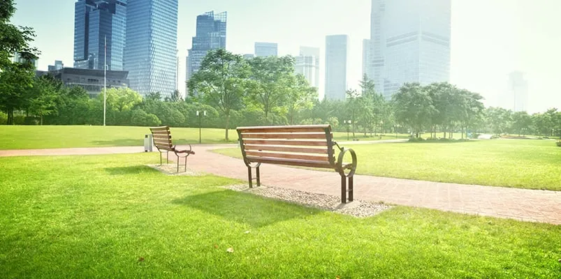 Affordable landscaping services in Lacey, WA - The Gardner's