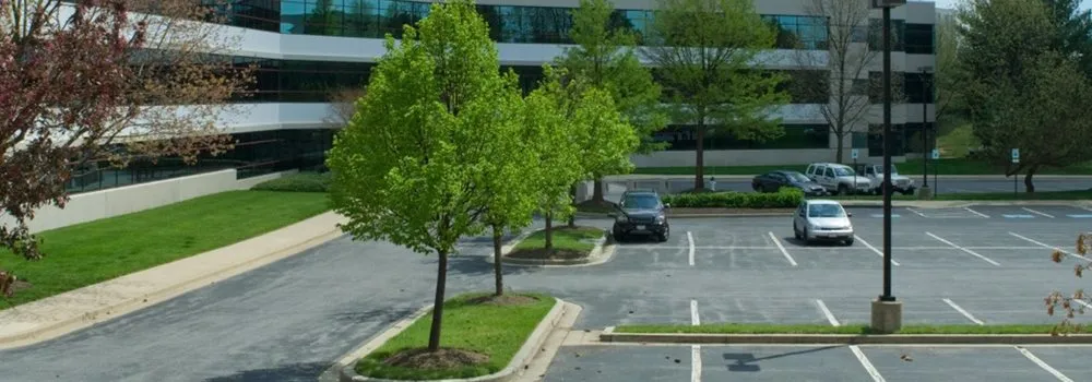 Custom garden landscaping near you in Lacey, WA by The Gardner's