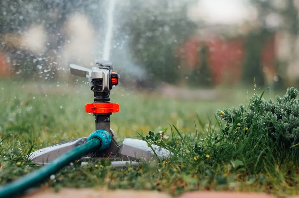 Top-rated yard cleanup service in Lacey, WA - The Gardner's