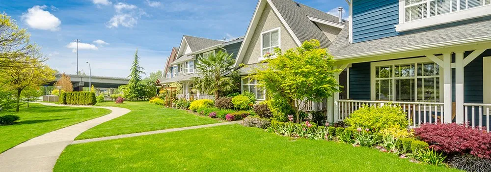 Affordable garden landscaping for beautiful yards across Lacey, WA - The Gardner's