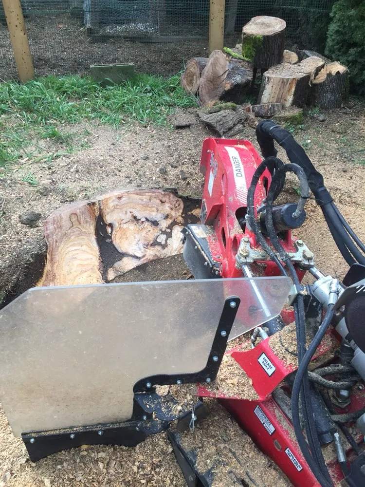 Local landscape design experts serving Beaverton, OR - The General