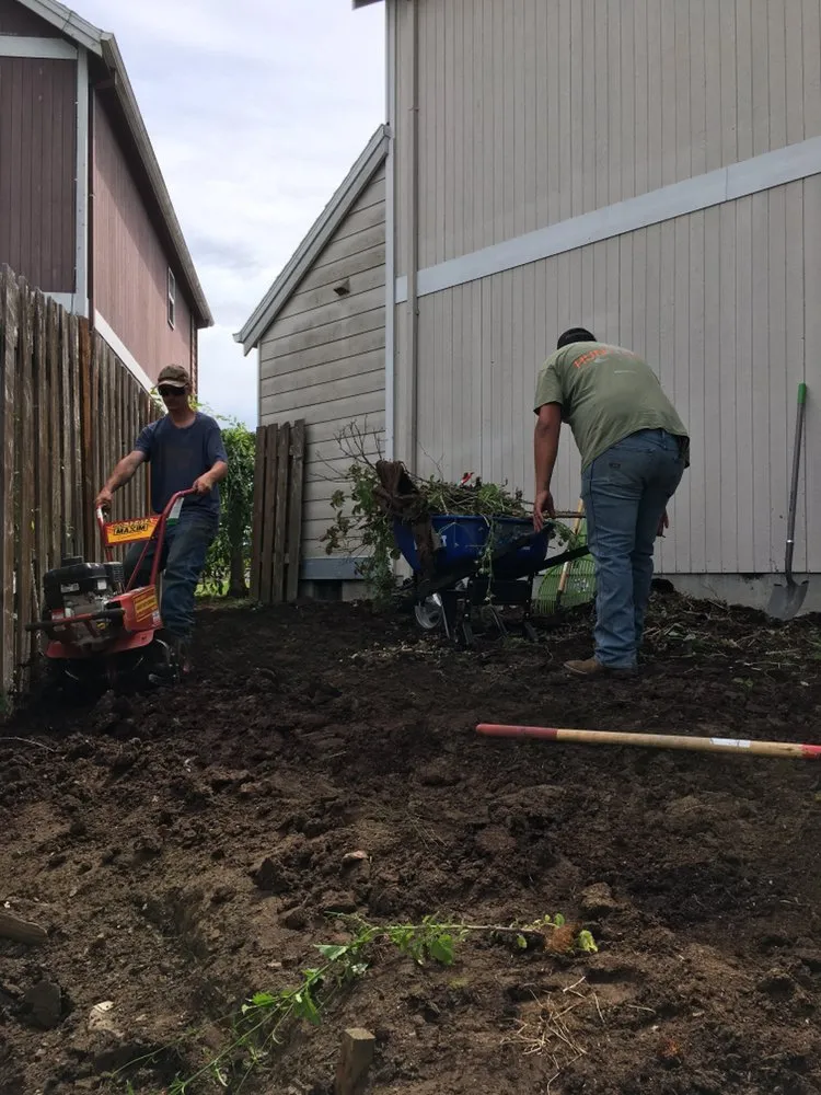 Trusted yard cleanup service experts serving Beaverton, OR - The General