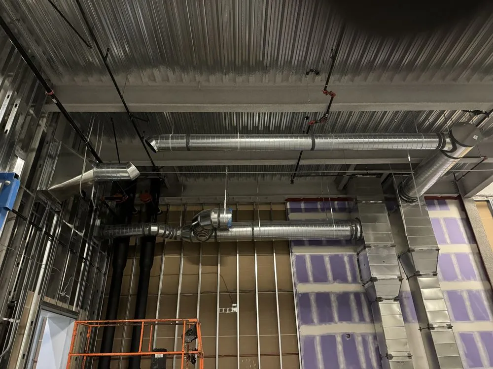 Expert landscaping services experts serving Long Beach, CA - The General Contractors