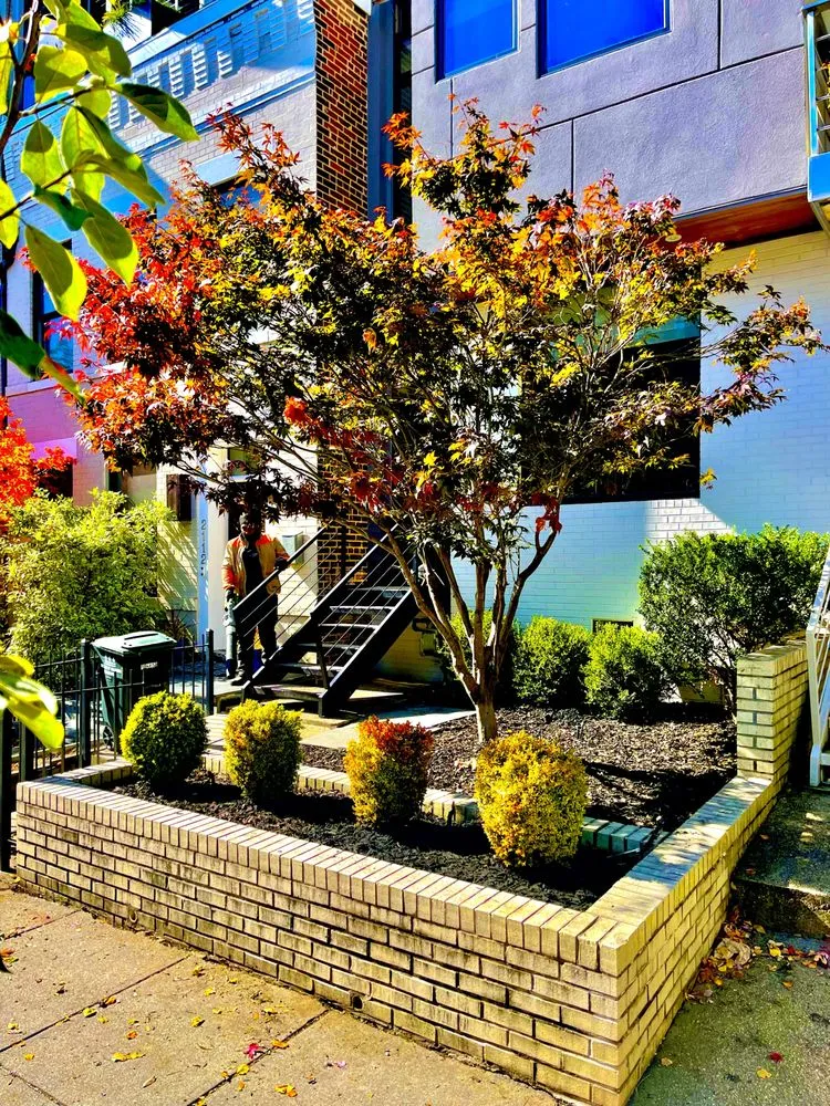Expert residential landscaping with custom design across Washington DC, DC - The Georgetown Landscaping Company
