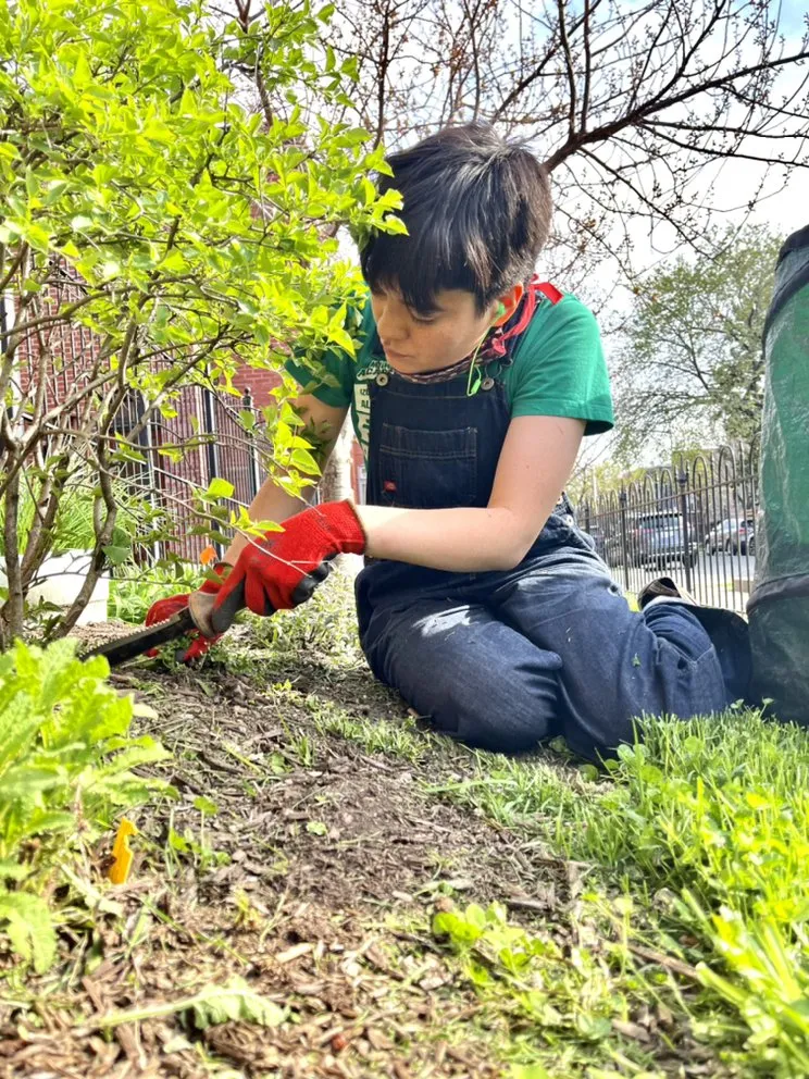 Expert landscape design for homes in Washington DC, DC by The Georgetown Landscaping Company