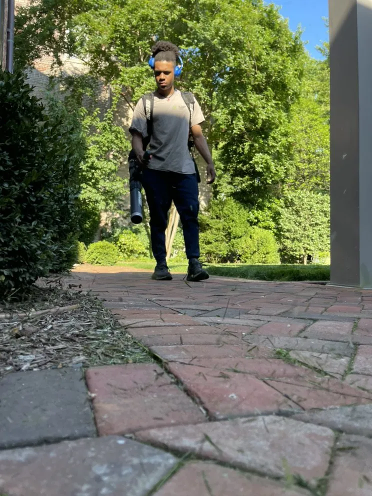 Custom yard cleanup service experts serving Washington DC, DC - The Georgetown Landscaping Company