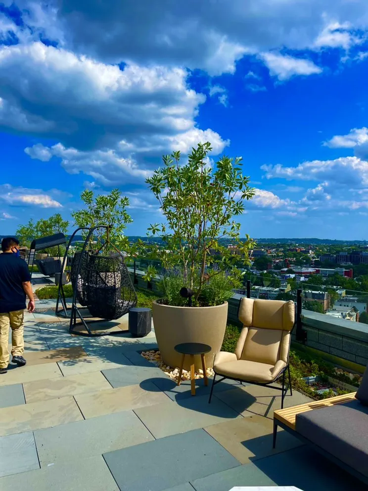 Affordable yard maintenance in Washington DC, DC - The Georgetown Landscaping Company