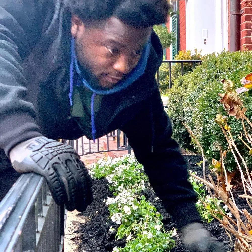 Expert outdoor landscaping for residential properties across Washington DC, DC - The Georgetown Landscaping Company