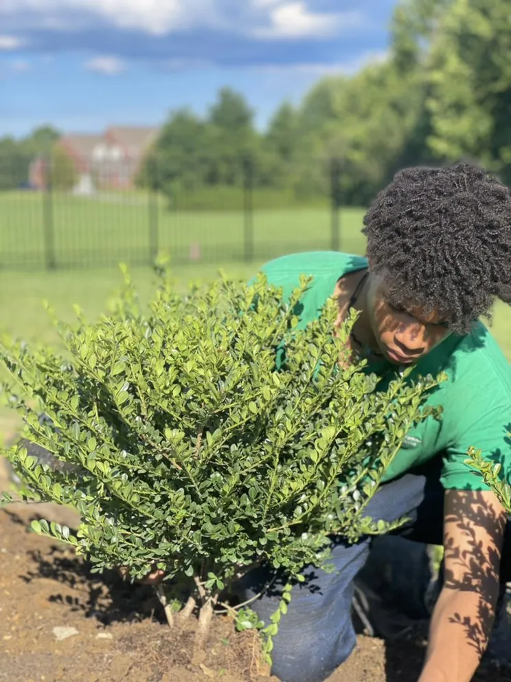 Professional yard cleanup service in Washington DC, DC by The Georgetown Landscaping Company