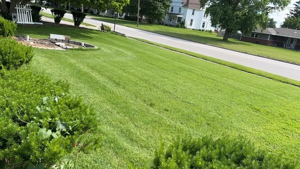 Reliable yard maintenance in Grandview, MO - The Getter Done