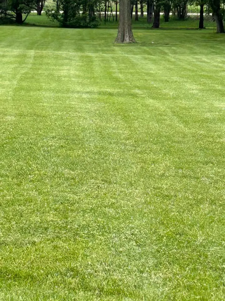 Local yard maintenance with custom design across Grandview, MO - The Getter Done