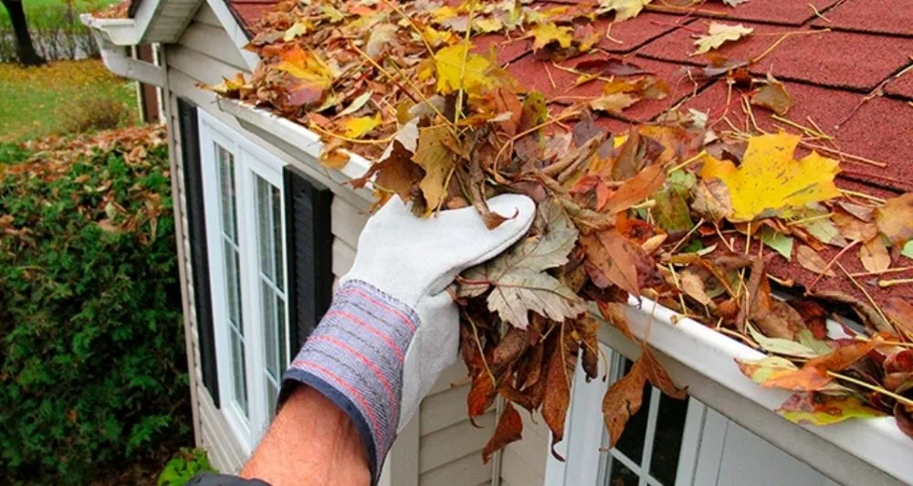 Trusted residential landscaping in Highland Beach, MD - The Gifts Of Earth