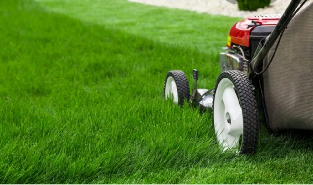 Custom outdoor landscaping for beautiful yards in Highland Beach, MD by The Gifts Of Earth