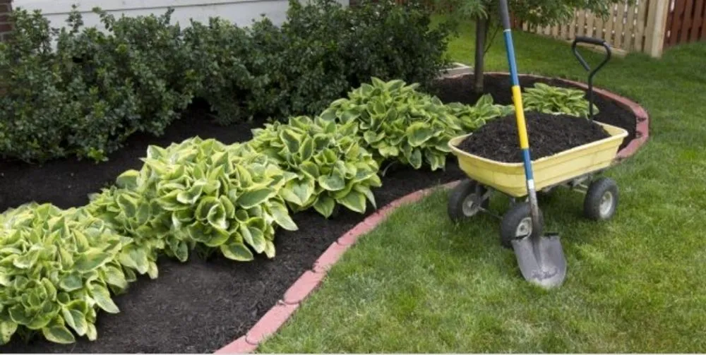 Top-rated yard cleanup service experts serving Highland Beach, MD - The Gifts Of Earth