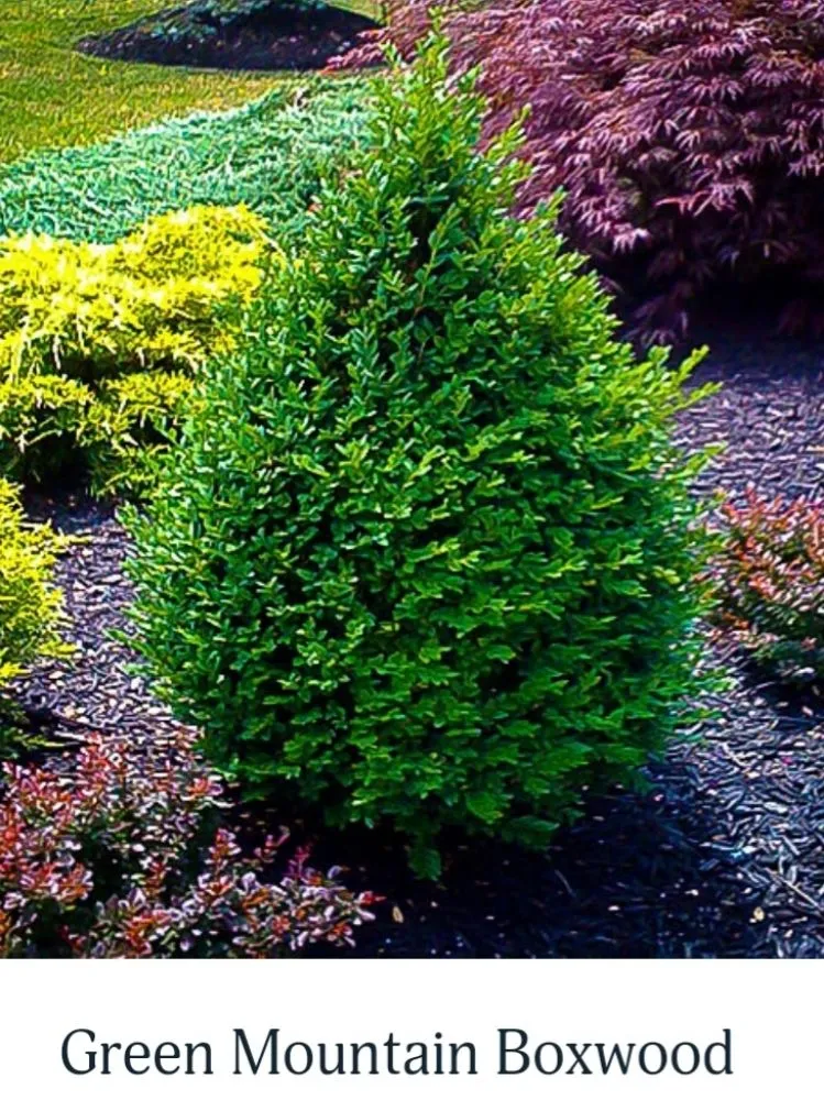 Local yard maintenance experts serving Highland Beach, MD - The Gifts Of Earth