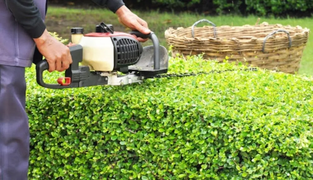 Local outdoor landscaping for outdoor upgrades in Highland Beach, MD by The Gifts Of Earth