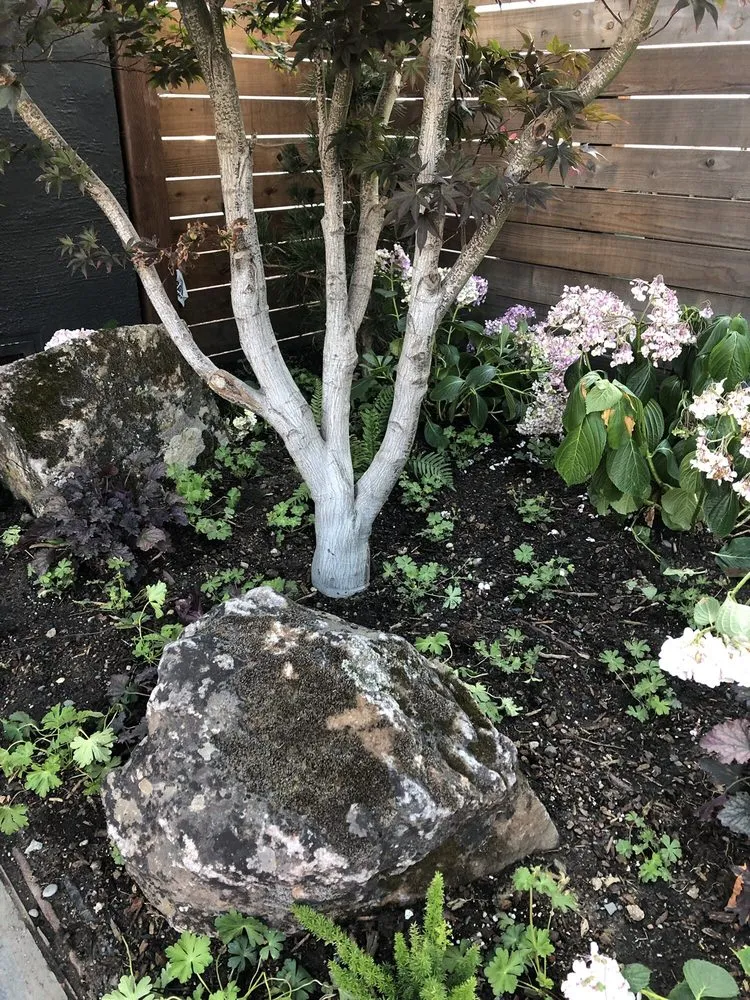 Top-rated landscape design experts serving Oakland, CA - The Giving Gardens