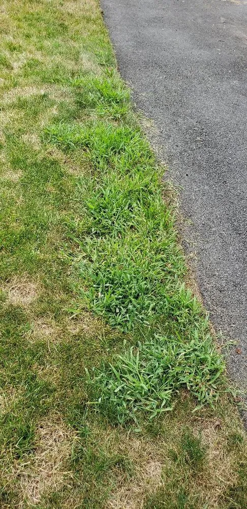 Top-rated landscape design experts serving Hamden, CT - The Giving Tree