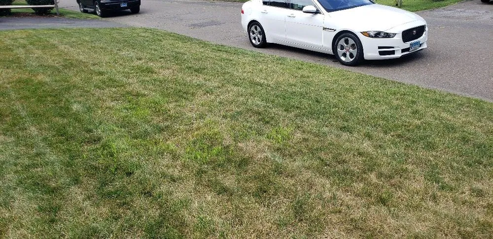 Top-rated landscaping services for residential properties in Hamden, CT by The Giving Tree