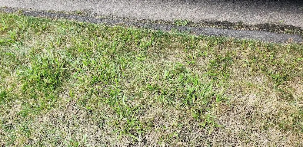 Reliable landscape design experts serving Hamden, CT - The Giving Tree