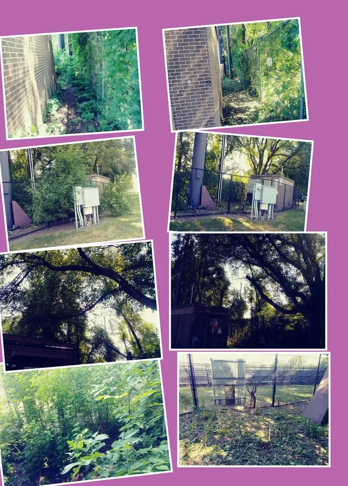 Top-rated yard maintenance in Saint Paul, MN by The Go to Guys