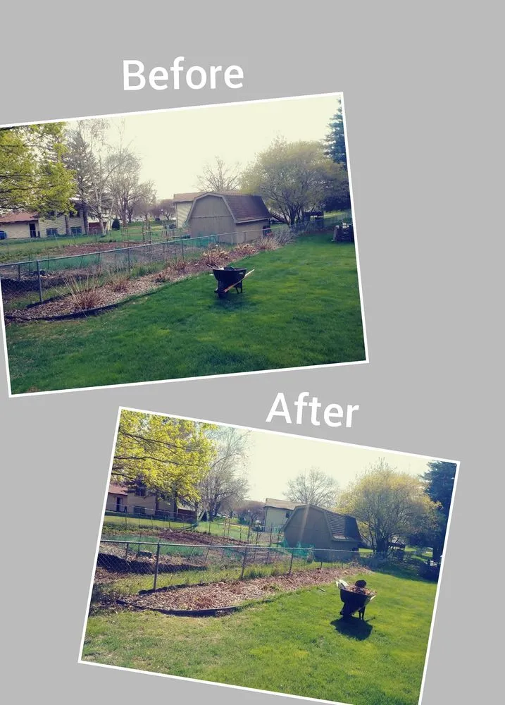 Custom yard maintenance for outdoor upgrades across Saint Paul, MN - The Go to Guys