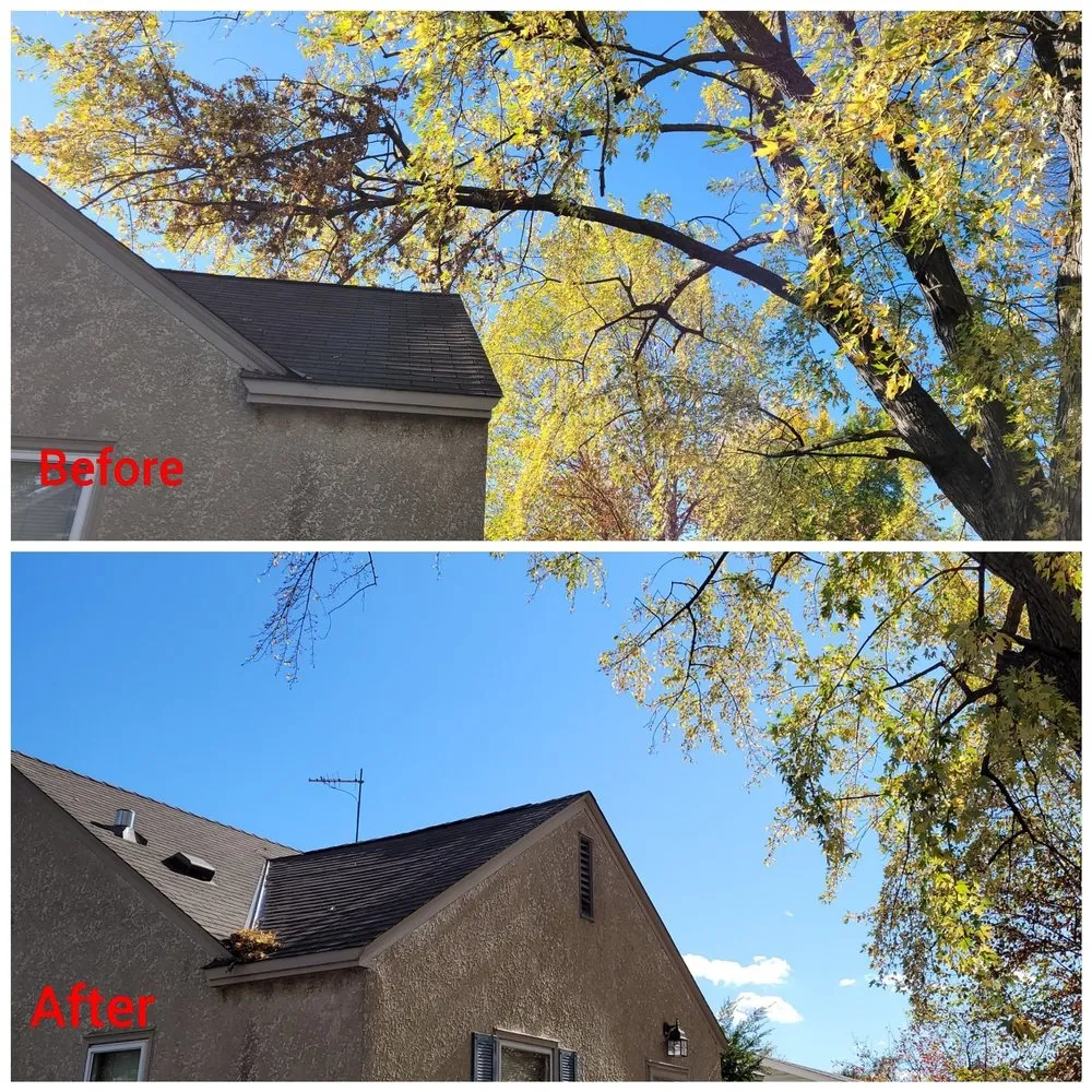 Trusted outdoor landscaping in Saint Paul, MN by The Go to Guys