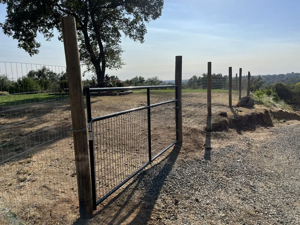 Expert residential landscaping with custom design in Penryn, CA by The Goat Grazing Co