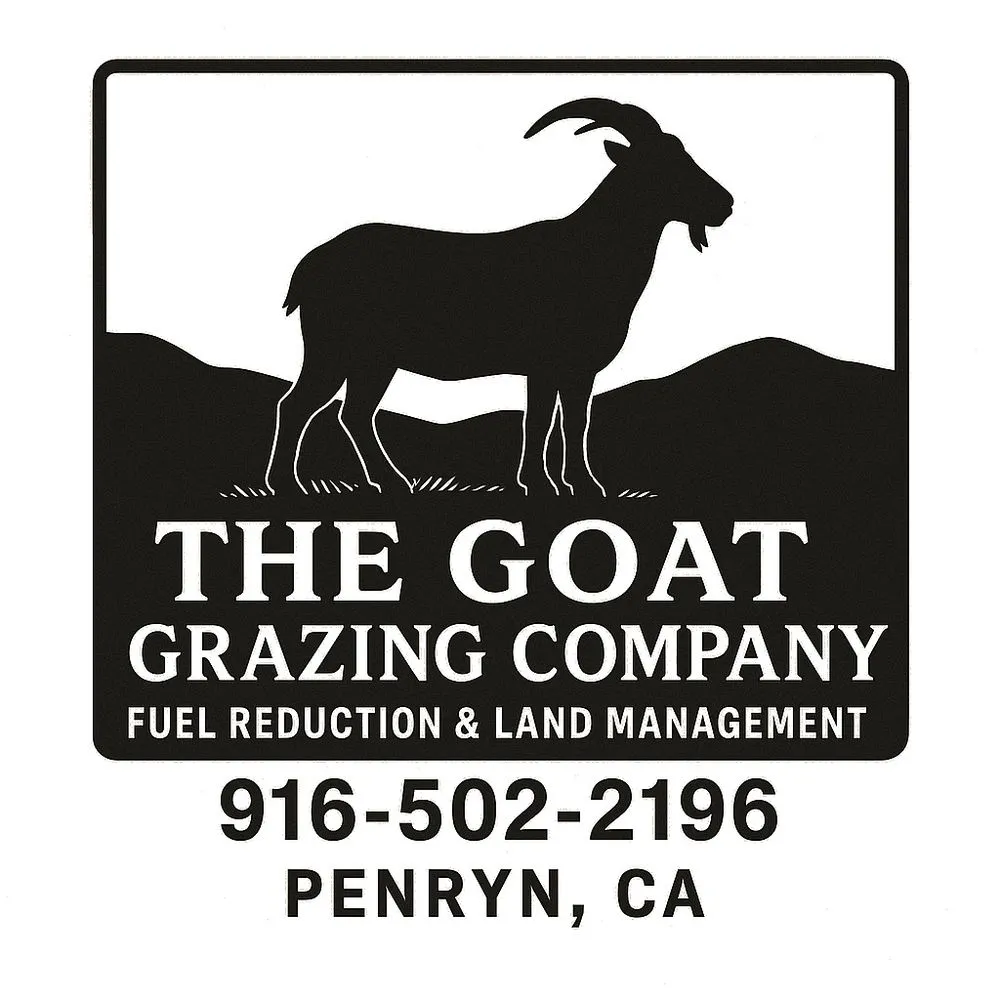 Local landscaping services experts serving Penryn, CA - The Goat Grazing Co