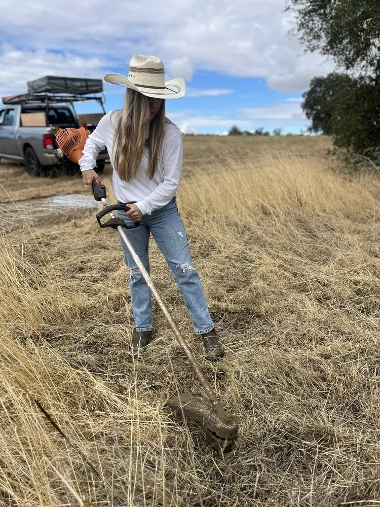 Custom landscaping services for outdoor upgrades in Penryn, CA by The Goat Grazing Co