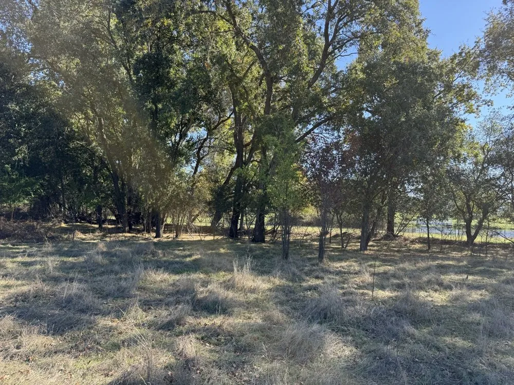 Top-rated landscaping services experts serving Penryn, CA - The Goat Grazing Co