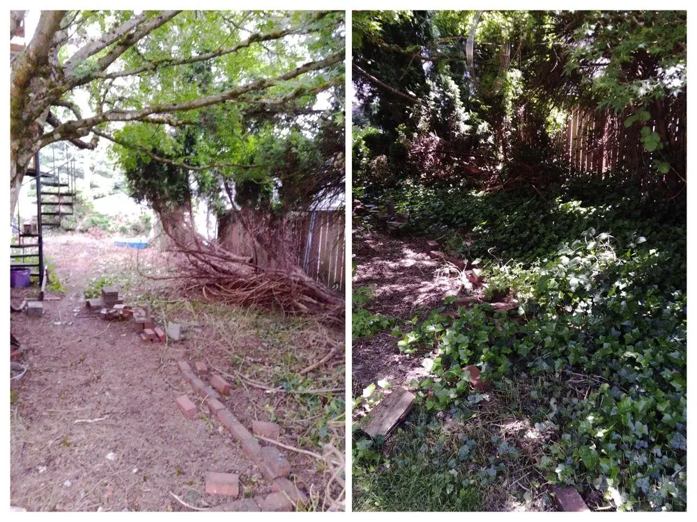 Trusted outdoor landscaping near you across Duvall, WA - The Goat Lady