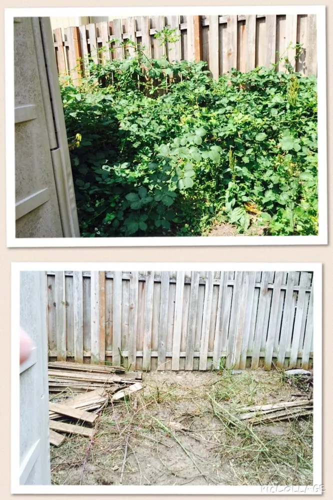 Top-rated outdoor landscaping experts serving Duvall, WA - The Goat Lady