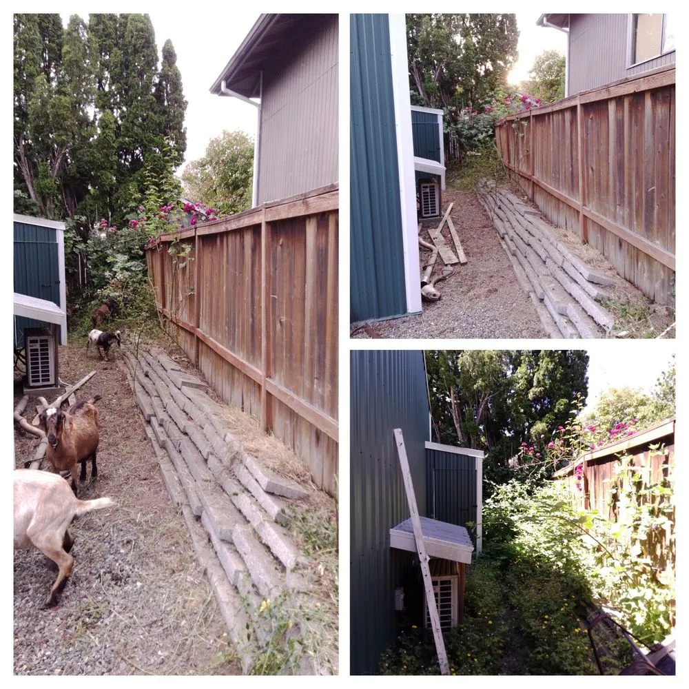 Custom garden landscaping in Duvall, WA - The Goat Lady