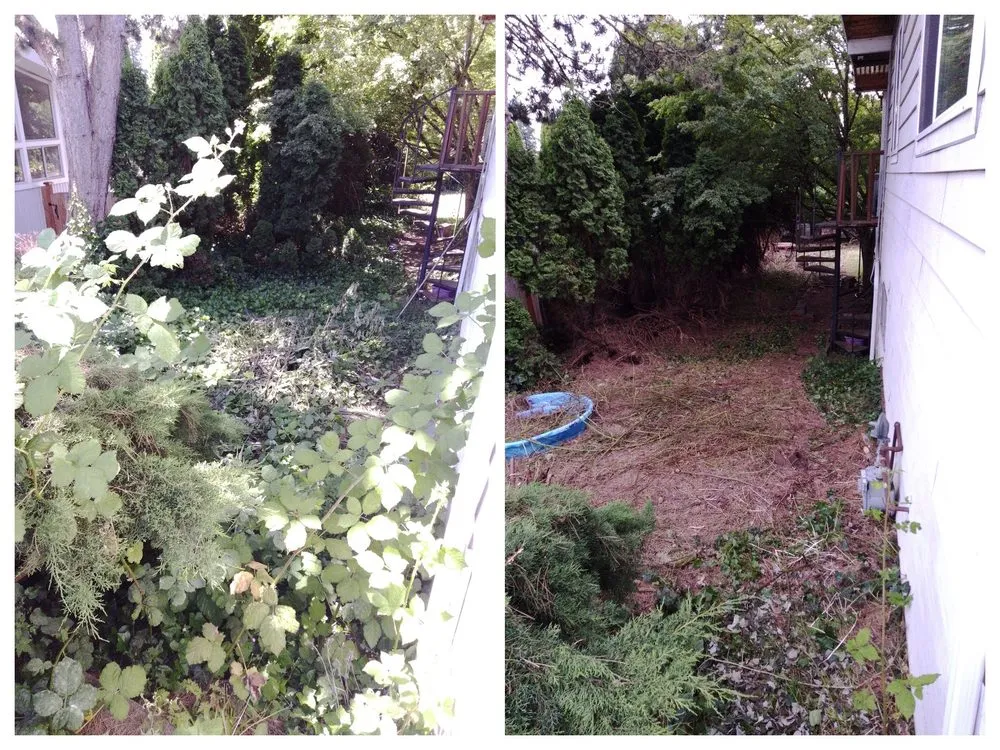 Local residential landscaping near you in Duvall, WA by The Goat Lady