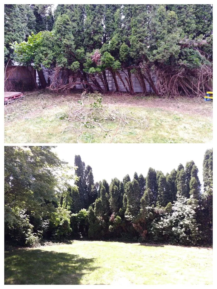 Professional outdoor landscaping experts serving Duvall, WA - The Goat Lady