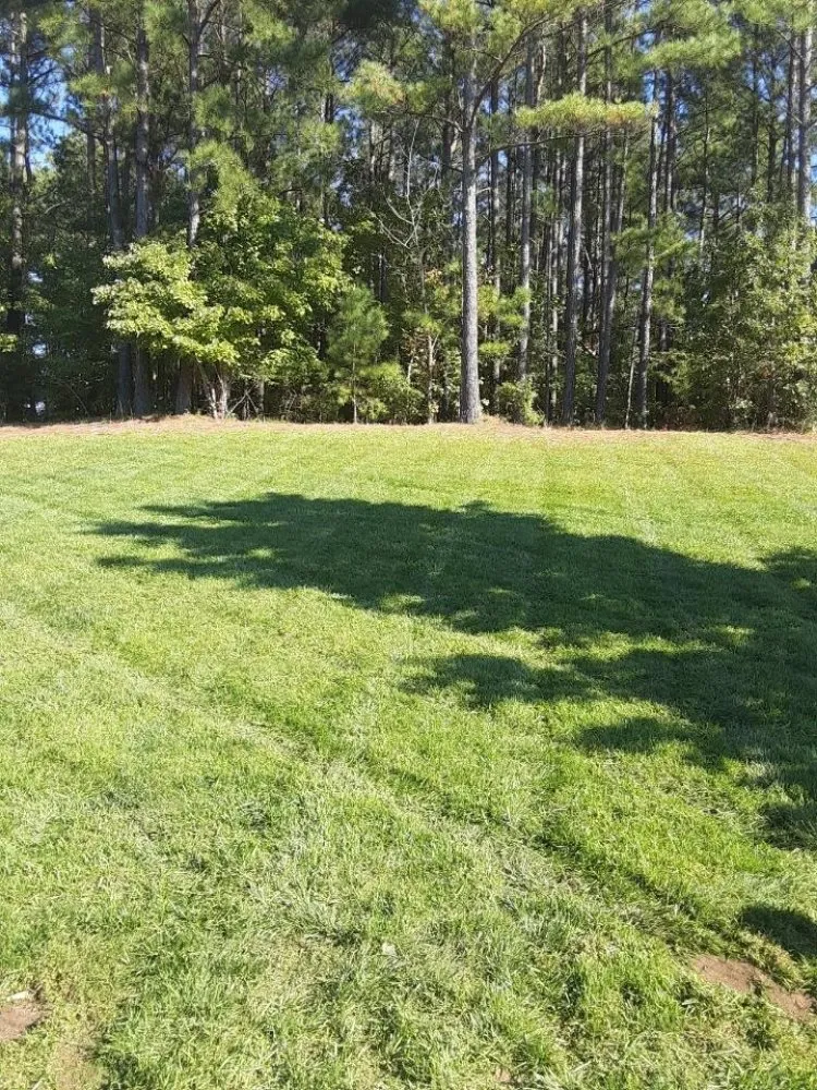 Top-rated residential landscaping in Mebane, NC - The GOAT Landscaping & Hardscapes