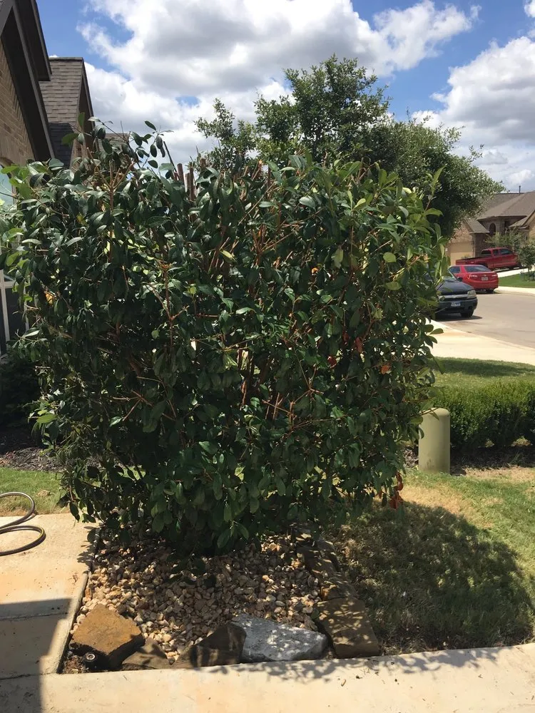 Custom residential landscaping for outdoor upgrades across San Antonio, TX - The Goat Lawn & Tree Services